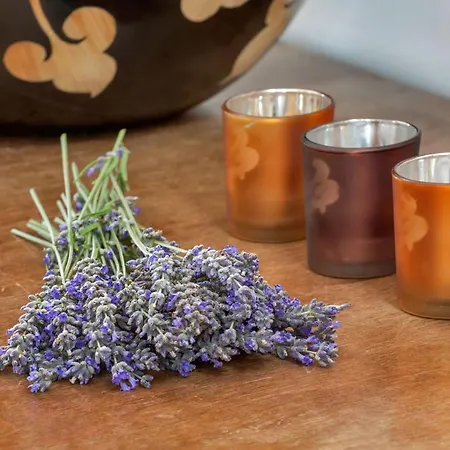 Ev Bharat Butique Hotel, 호텔