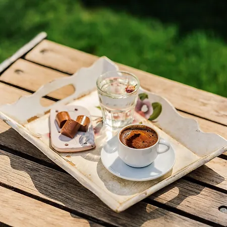 Ev Bharat Butique Hotel, אלאקאטי