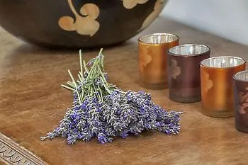 מלון Ev Bharat Butique Hotel, 2*